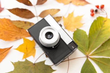 photography and season concept - film camera and autumn leaves on white backgroundの写真素材