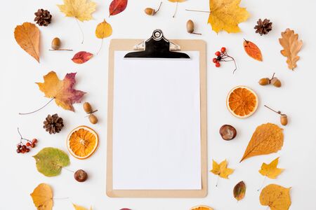 autumn fruits and clipboard with blank white paper