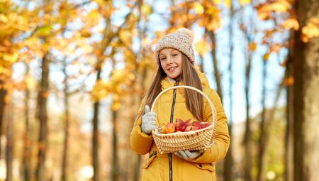 girl with apples in wicker basket at autumn parkの写真素材