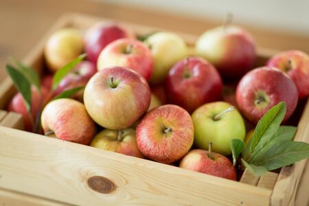 ripe apples in wooden box on tableの写真素材