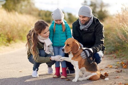 Happy family with beagle dog outdoors in autumnの写真素材