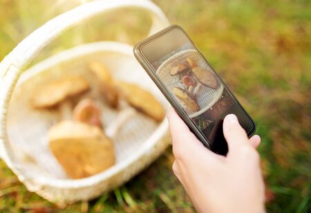 Technology, nature and leisure concept - Close up of woman photographing mushrooms in basket by...