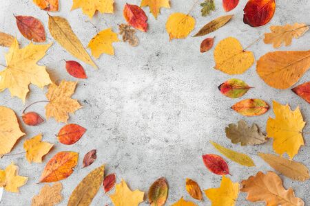 round frame of different dry fallen autumn leavesの写真素材