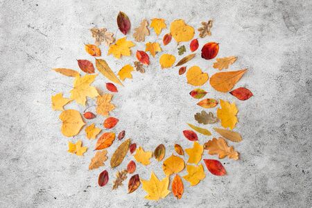 round frame of different dry fallen autumn leavesの写真素材