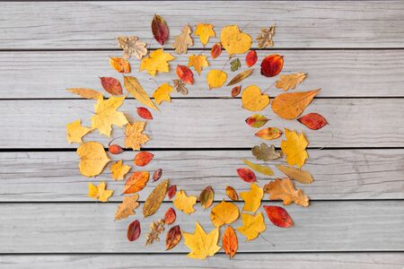 round frame of different dry fallen autumn leavesの写真素材