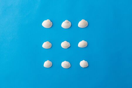 different sea shells on blue background