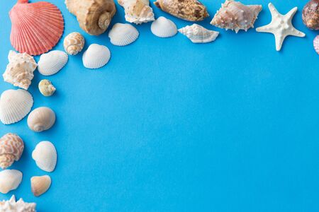 Frame of different sea shells on blueの写真素材