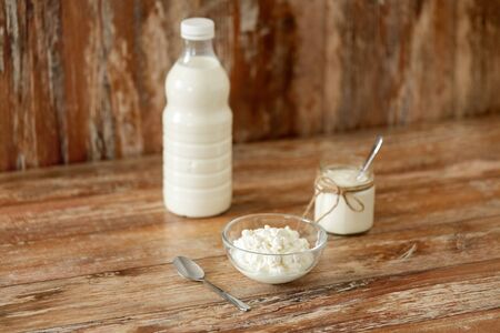 milk, cottage cheese and homemade yogurt