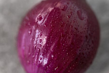 close up of wet red onionの写真素材