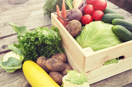 harvest, food and agriculture concept - close up of vegetables on farmの写真素材