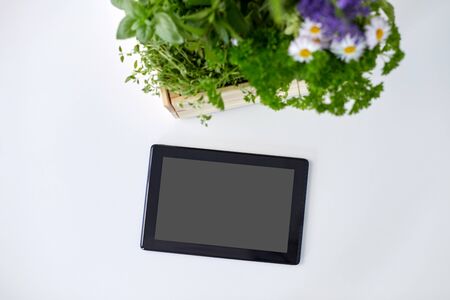 tablet computer with herbs and flowers in boxの写真素材