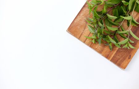 greens, culinary and ethnoscience concept - bunch of fresh peppermint on wooden cutting boardの写真素材