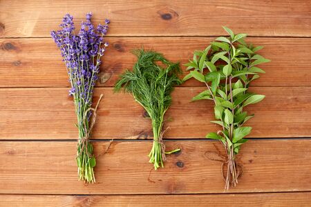 gardening, ethnoscience and herbs concept - bunches of lavender, dill and peppermint on wooden...