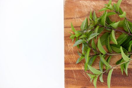 bunch of fresh peppermint on wooden cutting board