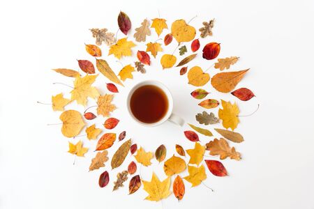cup of black tea and different dry autumn leavesの写真素材