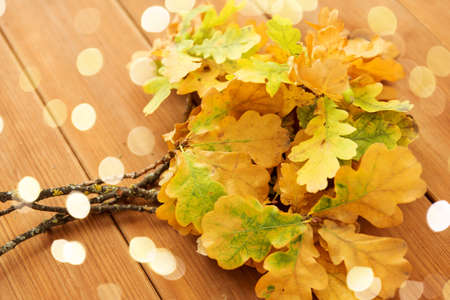 oak leaves in autumn colors on wooden table