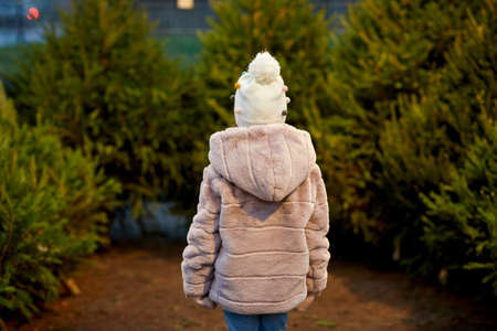 little girl choosing christmas tree at marketの写真素材