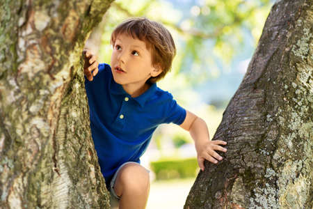happy little boy climbing tree at parkの写真素材
