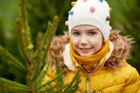 little girl choosing christmas tree at marketの写真素材