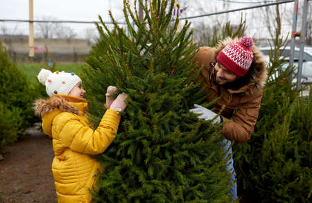 happy family choosing christmas tree at marketの写真素材