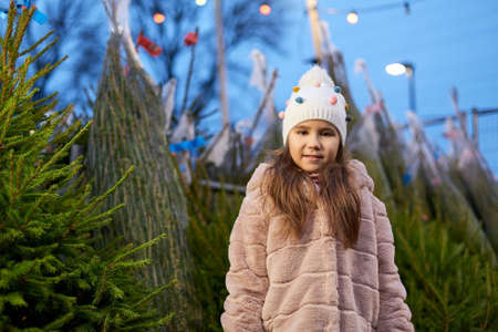 little girl choosing christmas tree at marketの写真素材