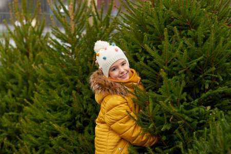 little girl choosing christmas tree at marketの写真素材