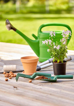 garden tools and flowers on wooden terraceの写真素材