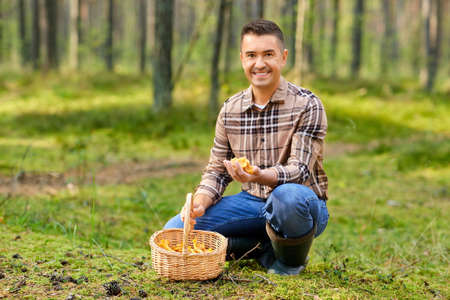 happy man with basket picking mushrooms in forestの写真素材