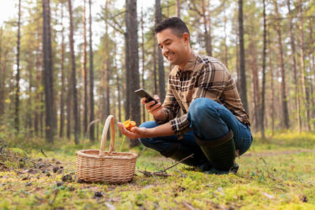 man using smartphone to identify mushroomの写真素材