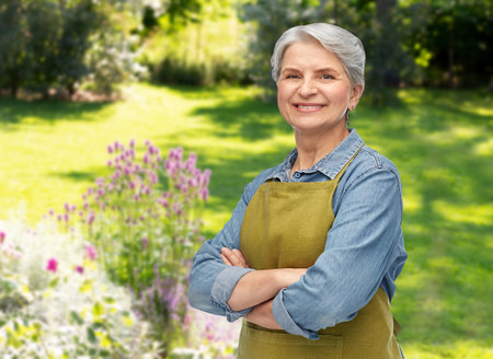 portrait of smiling senior woman in garden apronの写真素材