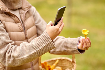 woman using smartphone to identify mushroomの写真素材