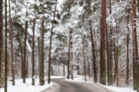blurred landscape of road in winter snowy forest