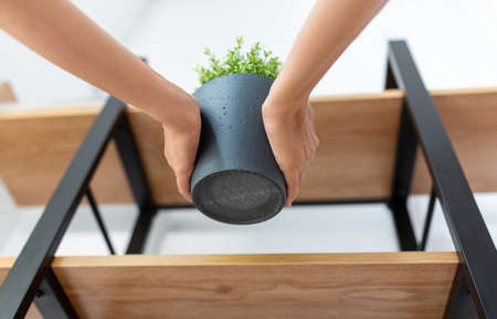 woman decorating home with flower or houseplant