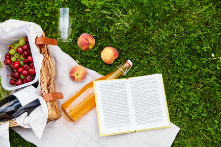 picnic basket, food, drinks and book on grassの写真素材