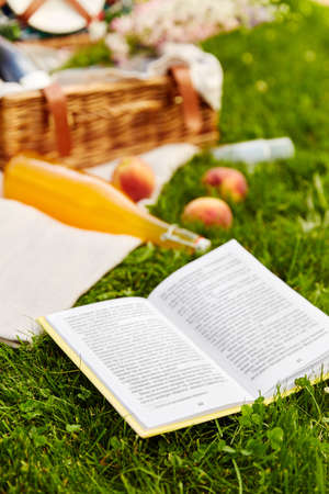 close up of open book on picnic in summer parkの写真素材