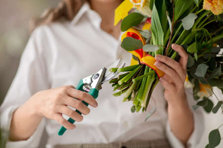 close up of woman arranging flowers at studioの写真素材