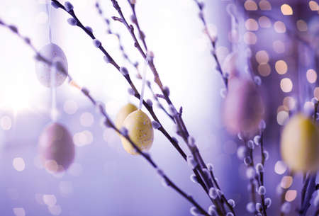 close up of pussy willow decorated by easter eggsの写真素材