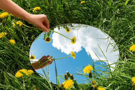 hand with dandelion and sky reflection in mirrorの写真素材