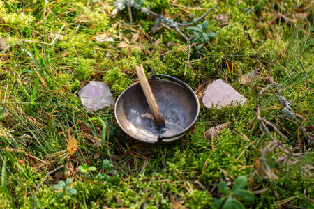 palo santo stick in cup and crystal in forestの写真素材