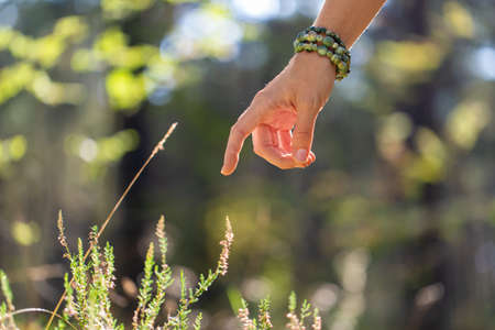 close up of hand with bracelet in forest