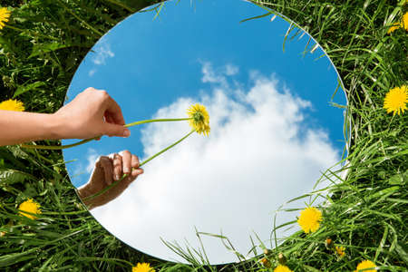 hand with dandelion and sky reflection in mirrorの写真素材