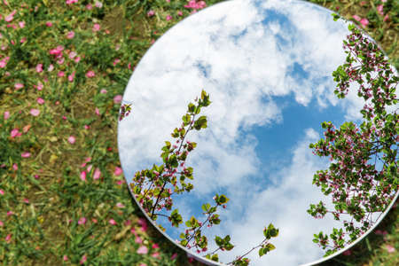 cherry tree blossoms reflection in round mirror