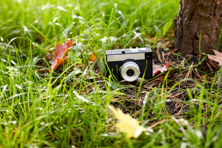 film camera and autumn leaves on ground in forestの写真素材
