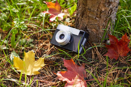 film camera and autumn leaves on ground in forestの写真素材