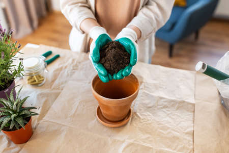 close up of woman planting pot flowers at home