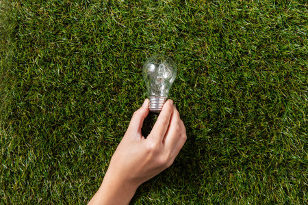 close up of hand holding lightbulb on green grassの写真素材