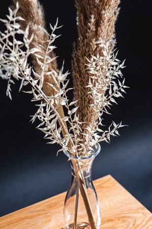 dry plants and reed in vase on bench in dark roomの写真素材