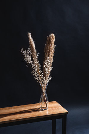 dry plants and reed in vase on bench in dark roomの写真素材