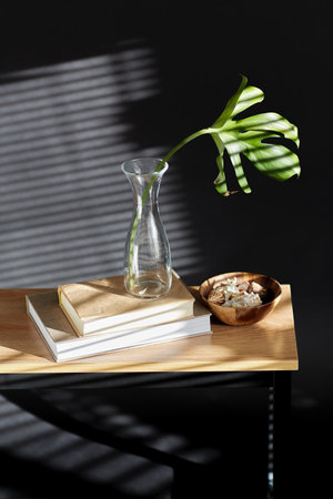 monstera leaf in vase, books and shells on benchの写真素材