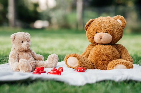teddy bears and toy crockery on blanket at parkの写真素材